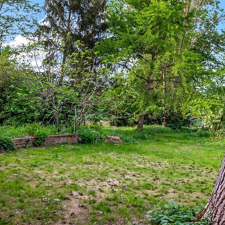 Altstadt Apartment Am Wasser Mit Parkplatz Und Grossem Garten Bad Kreuznach Eksteriør bilde