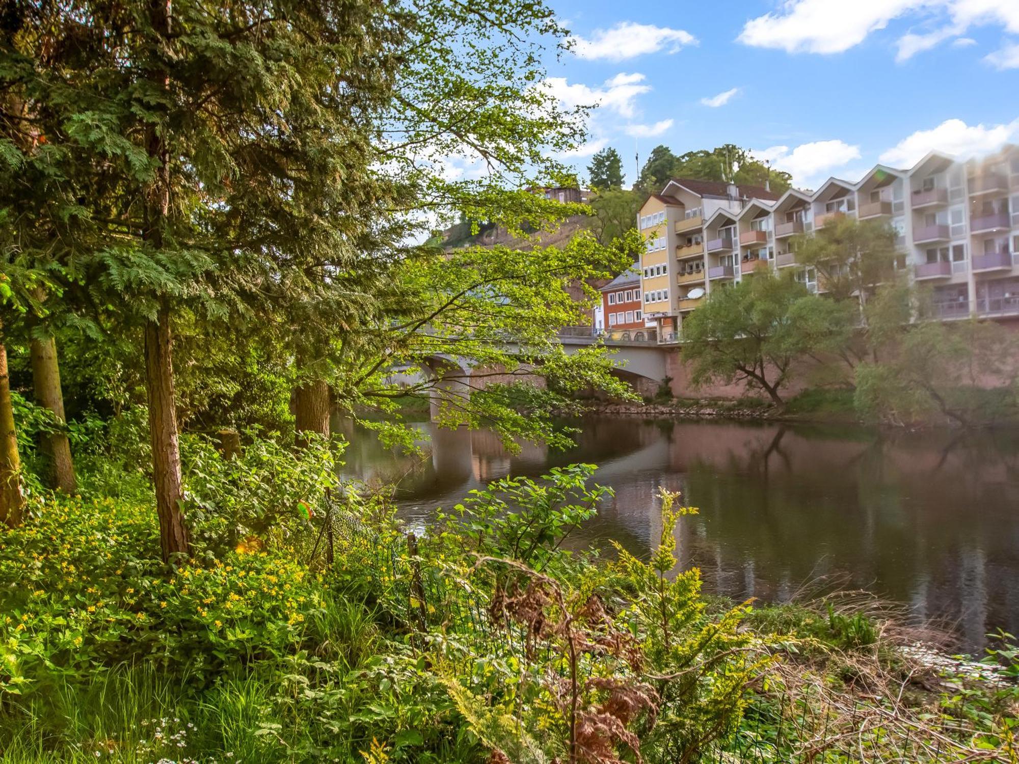 Altstadt Apartment Am Wasser Mit Parkplatz Und Grossem Garten Bad Kreuznach Eksteriør bilde
