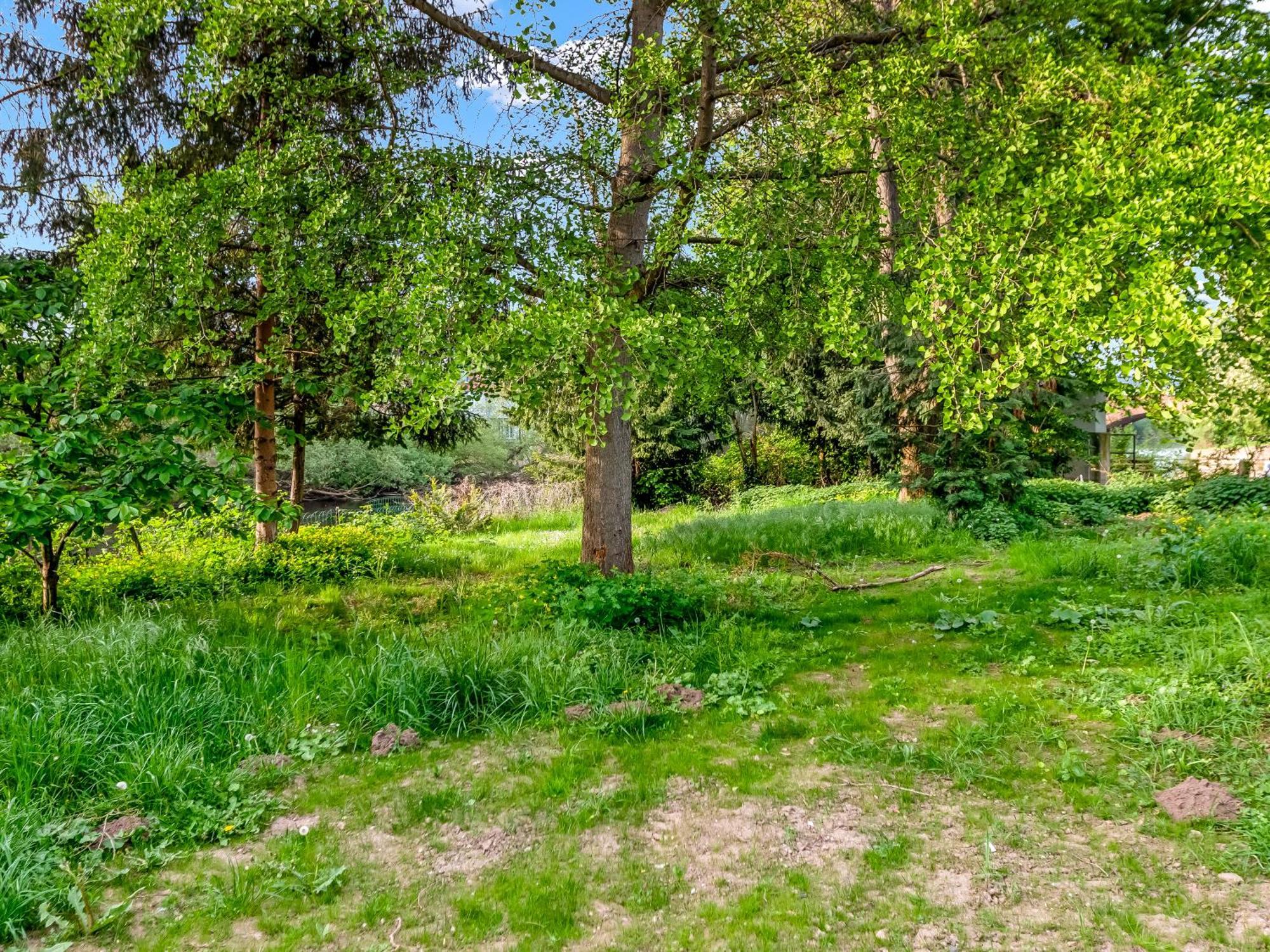 Altstadt Apartment Am Wasser Mit Parkplatz Und Grossem Garten Bad Kreuznach Eksteriør bilde